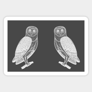 Barn Owls in Love - hand drawn detailed owl design Magnet